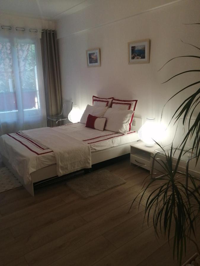 Appartement 5 Minute De La Promenade 尼斯 外观 照片