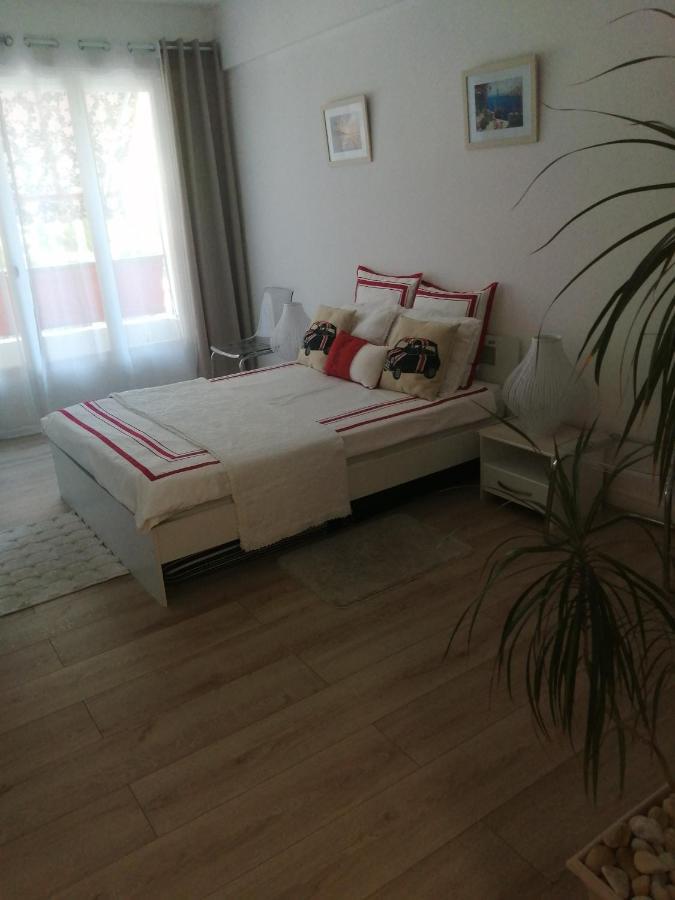 Appartement 5 Minute De La Promenade 尼斯 外观 照片